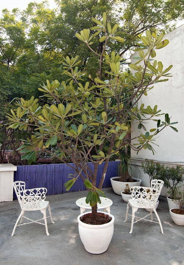 Haveli Hauz Khas Bed & Breakfast New Delhi Luaran gambar
